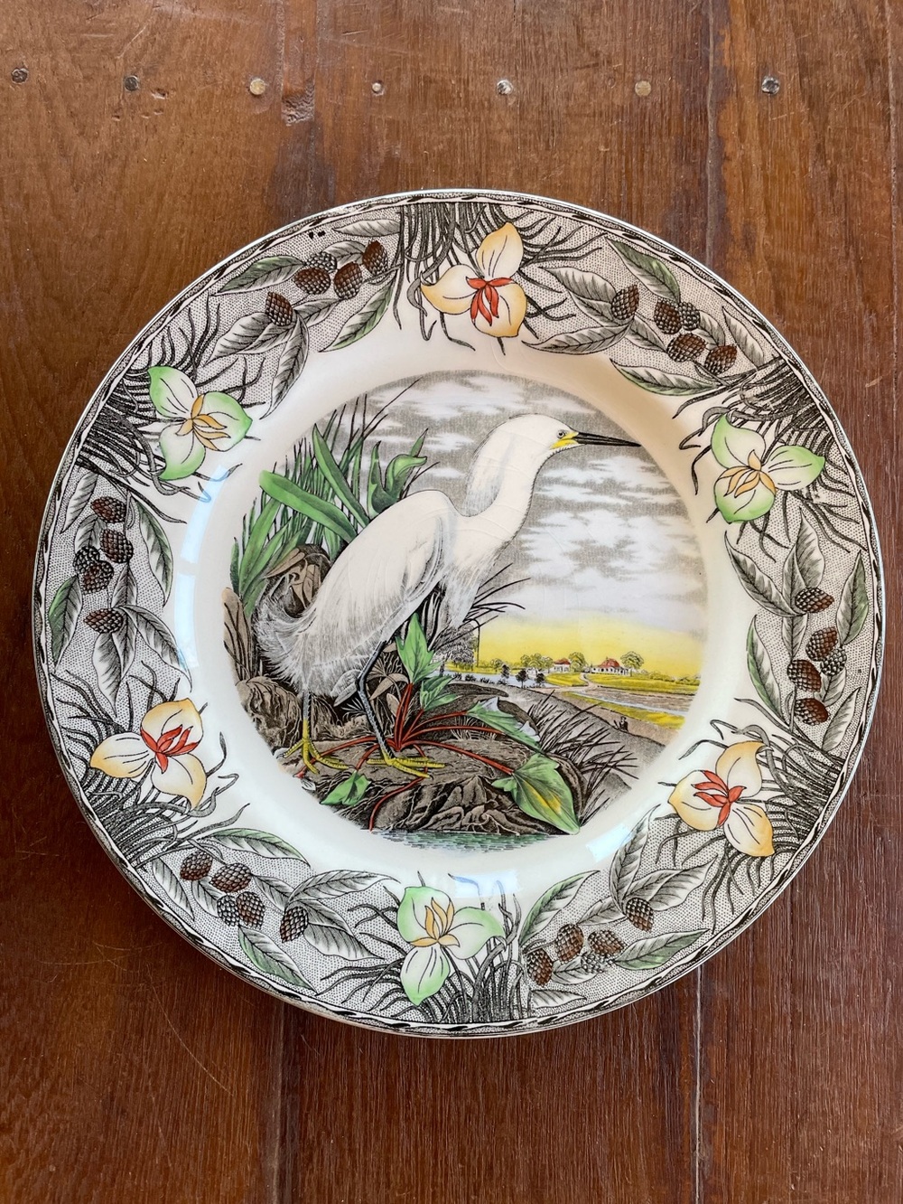 Vintage Collector Plate James Audubon Birds of America Snowy Egret Ceramic Plate